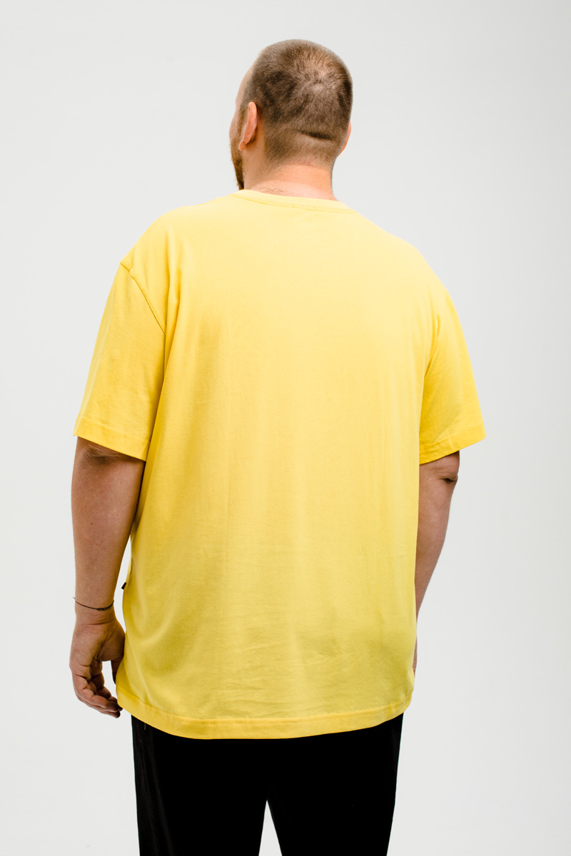 Футболка мужская мужская борльшого размера, арт 4070/31