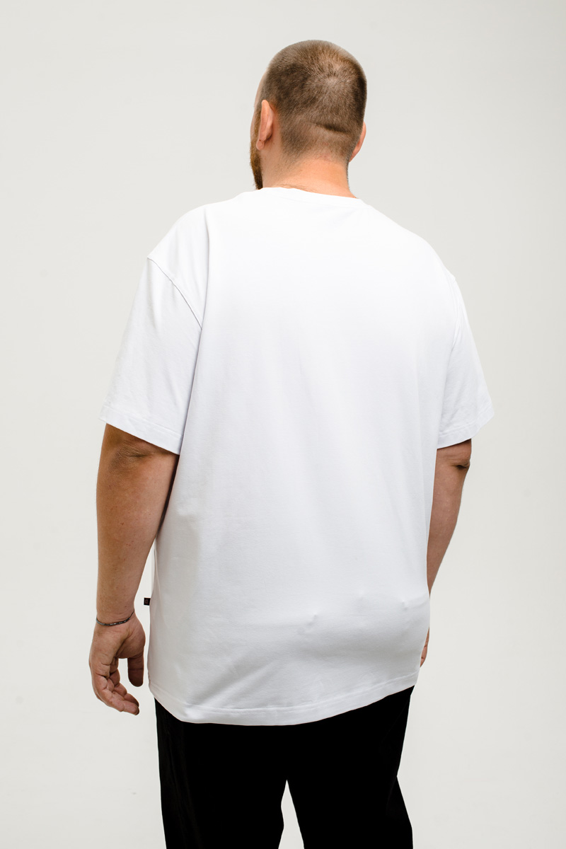 Футболка мужская мужская борльшого размера, арт 4080/14