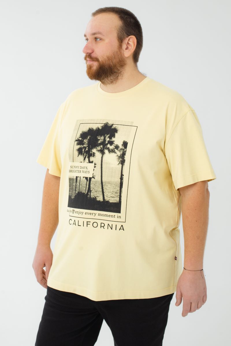 Футболка мужская мужская больших размеров, арт 4080/36/71 