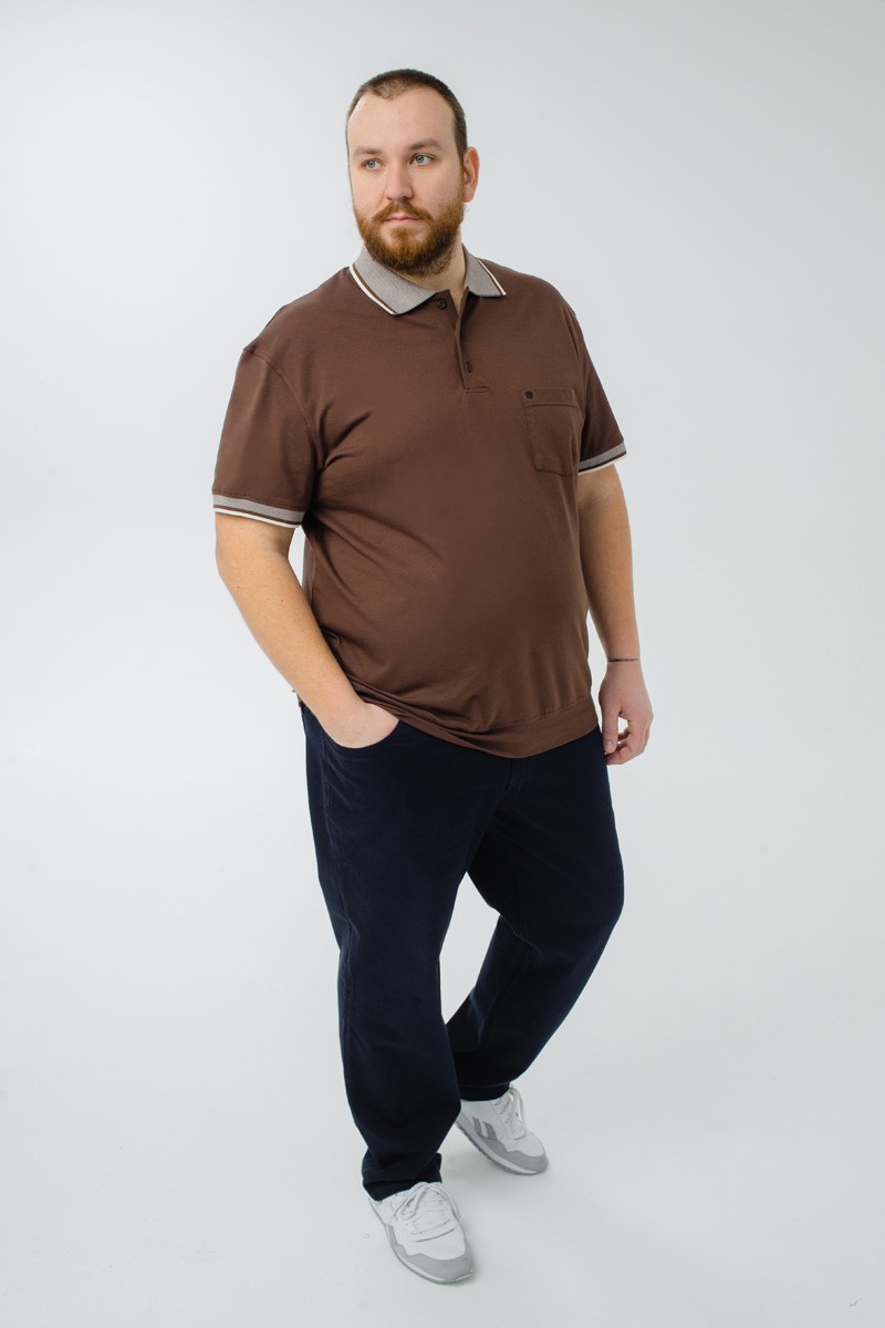 Мужская футболка-поло большого размера, арт 50330/18