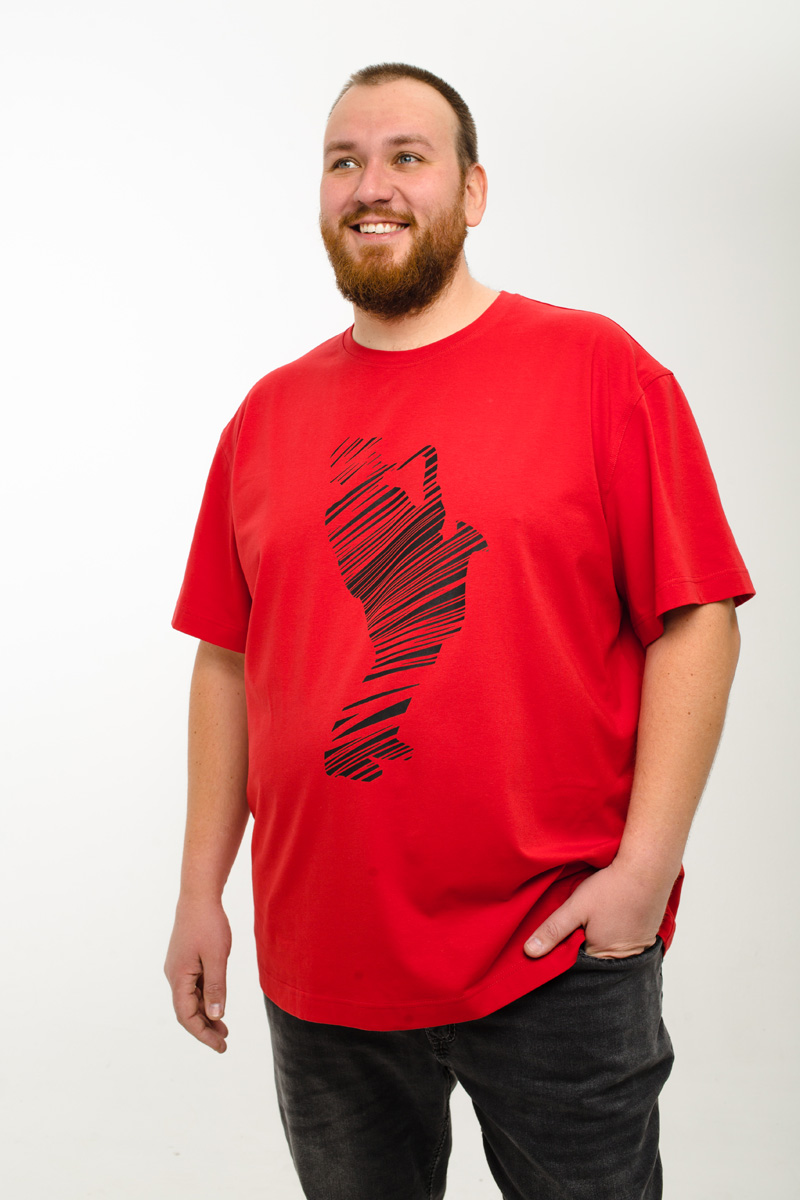 Футболка мужская мужская больших размеров, арт 4080/15/44 