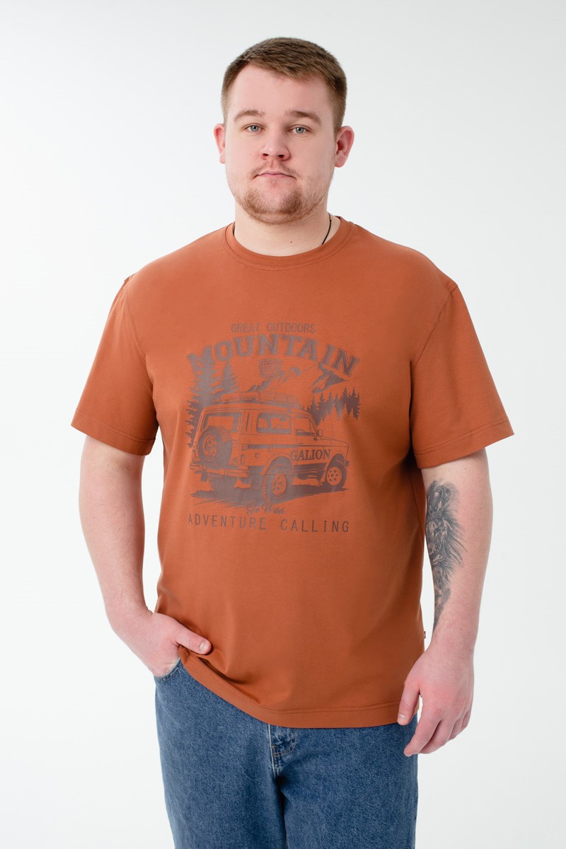 Футболка мужская мужская больших размеров, арт 4080/10/70 