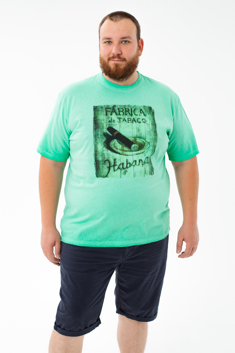 Футболка MAXFORT мужская мужская борльшого размера, арт 39420520