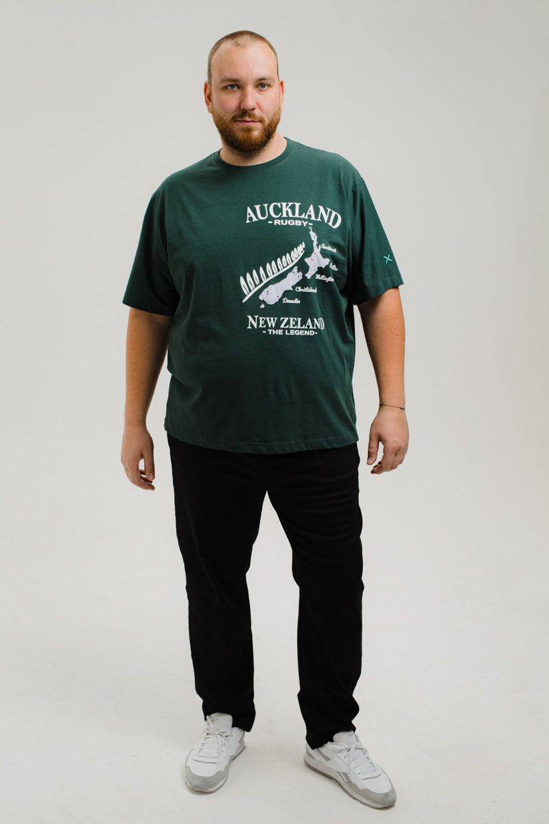 Футболка MAXFORT мужская мужская больших размеров, арт 41445-550 