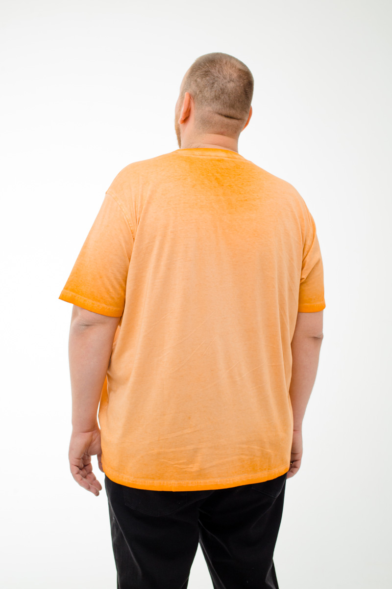 Футболка CasaModa мужская мужская больших размеров, арт 954384000/476 