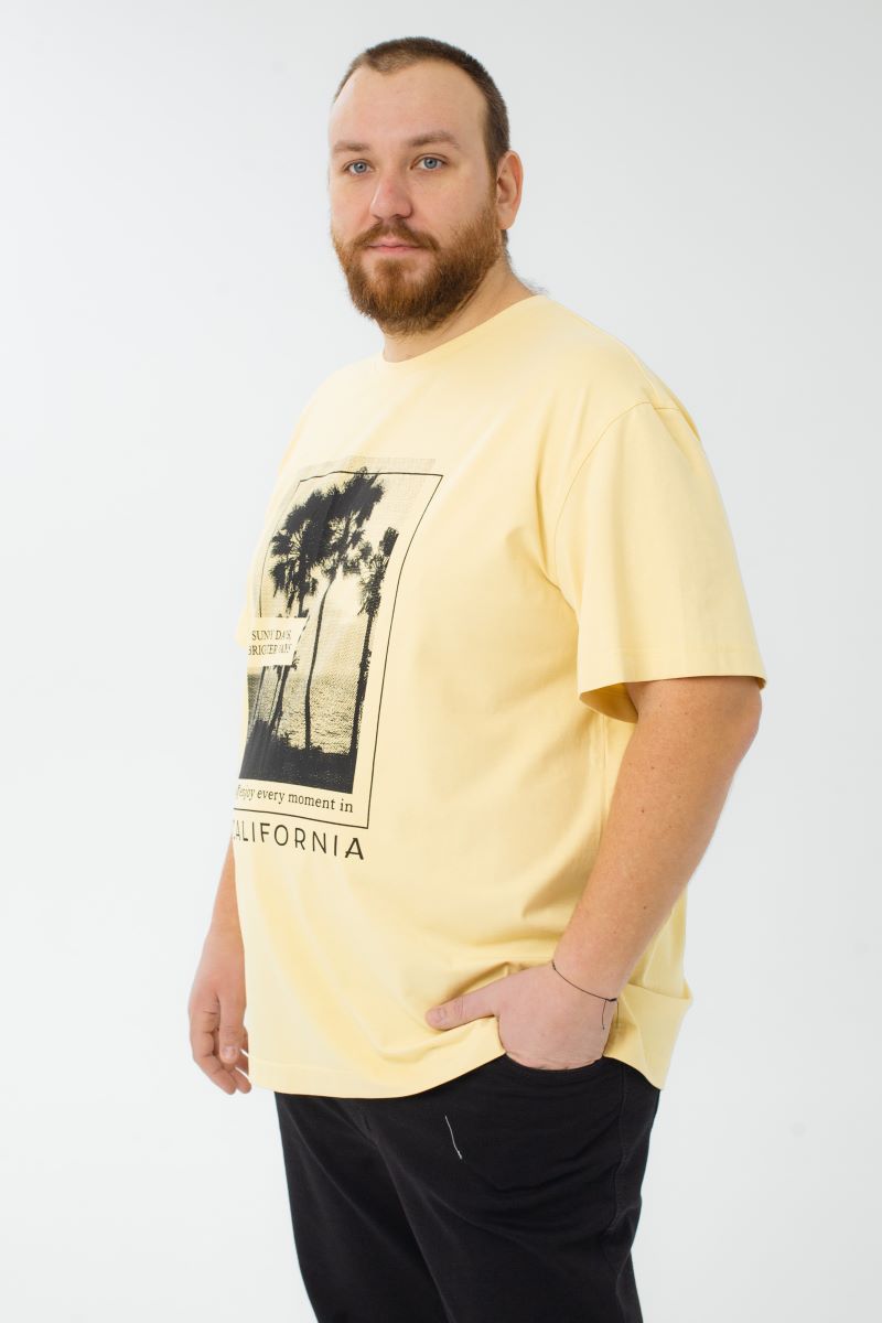 Футболка мужская мужская больших размеров, арт 4080/36/71 