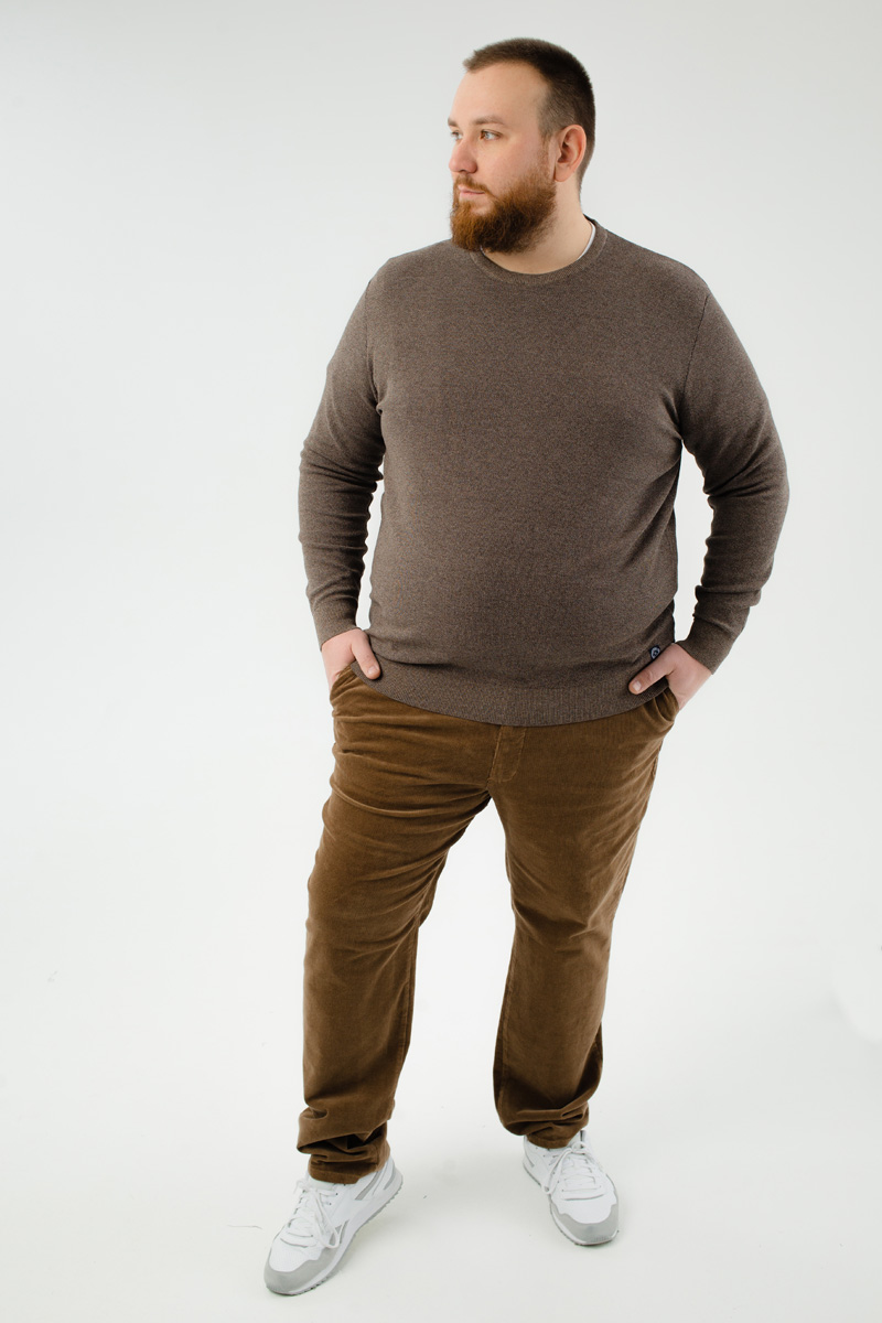 Джемпер CasaModa мужской