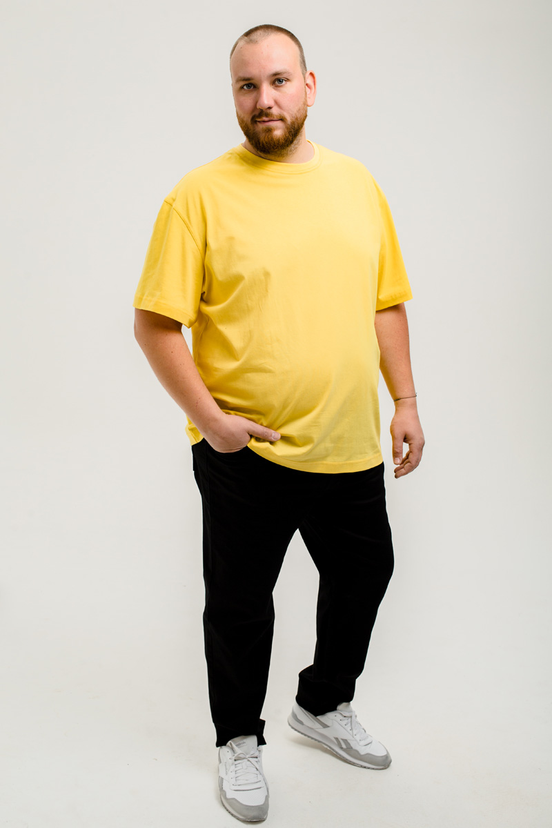 Футболка мужская мужская борльшого размера, арт 4070/31