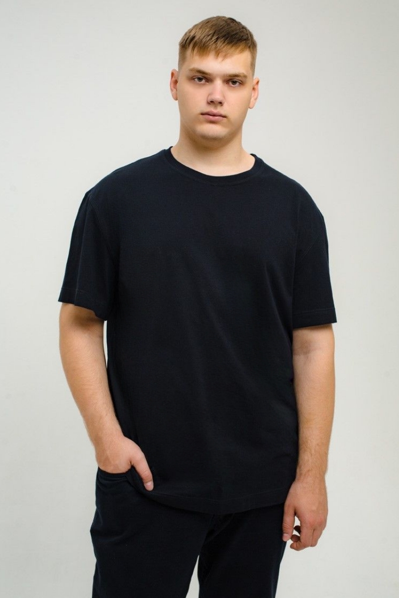 Футболка мужская мужская борльшого размера, арт 4070/4