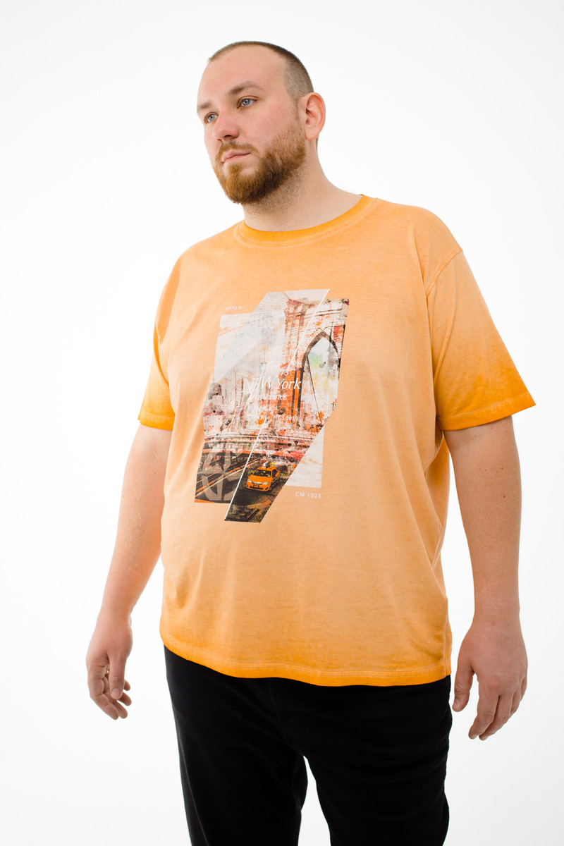 Футболка CasaModa мужская мужская больших размеров, арт 954384000/476 