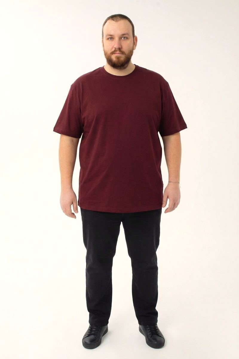 Футболка мужская мужская больших размеров, арт 4080/69 
