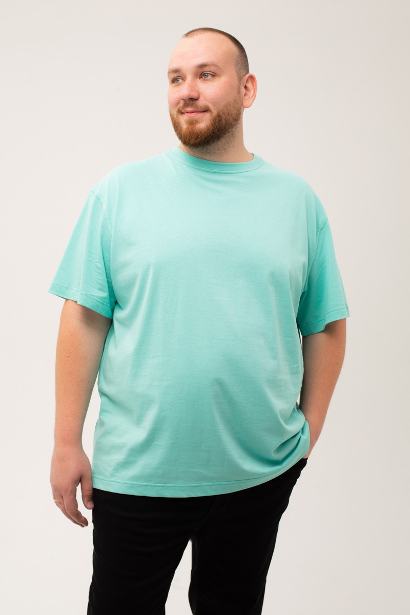 Футболка мужская мужская больших размеров, арт 4070/28 