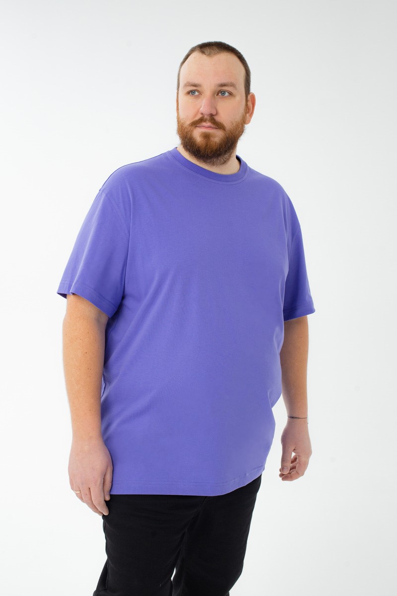 Футболка мужская мужская больших размеров, арт 4070/34 
