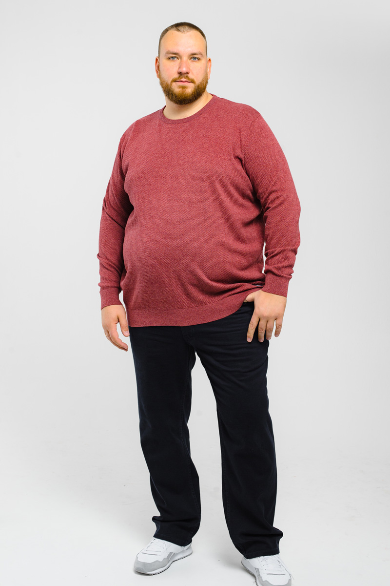 Джемпер CasaModa мужской