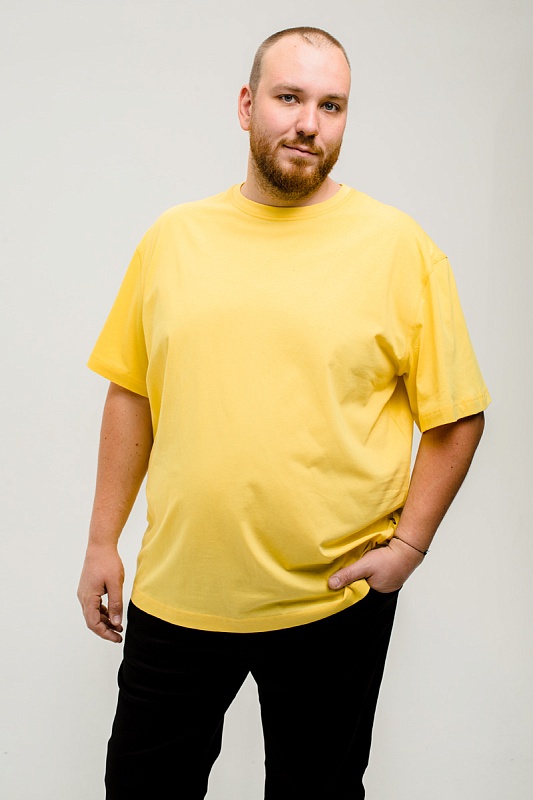 Футболка мужская мужская борльшого размера, арт 4070/31