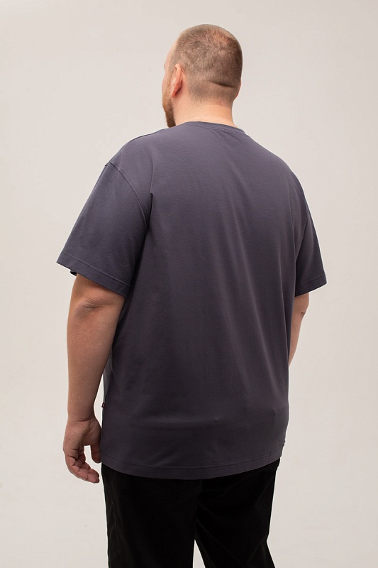 Футболка мужская мужская больших размеров, арт 4080/2/47 