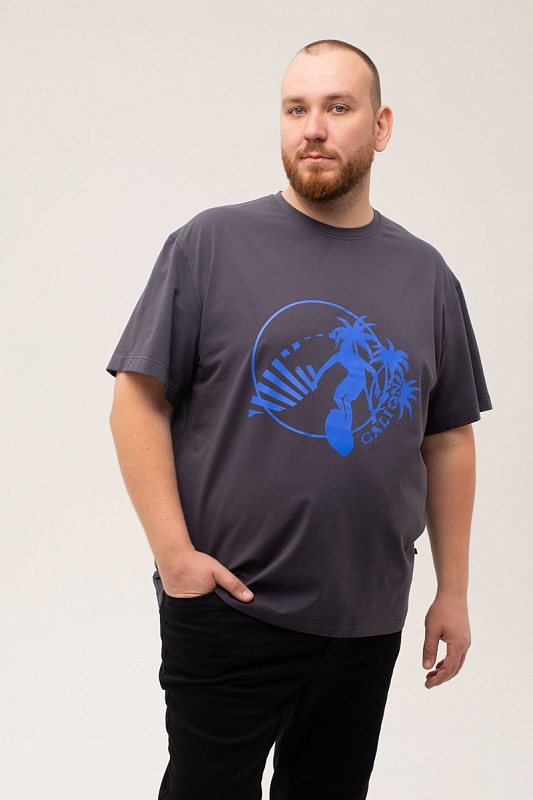 Футболка мужская мужская больших размеров, арт 4080/2/47 