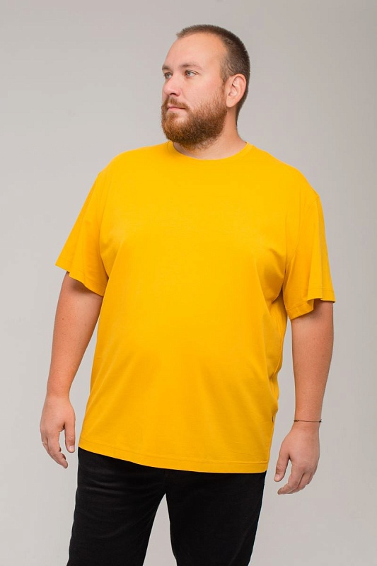 Футболка мужская мужская больших размеров, арт 4080/51 