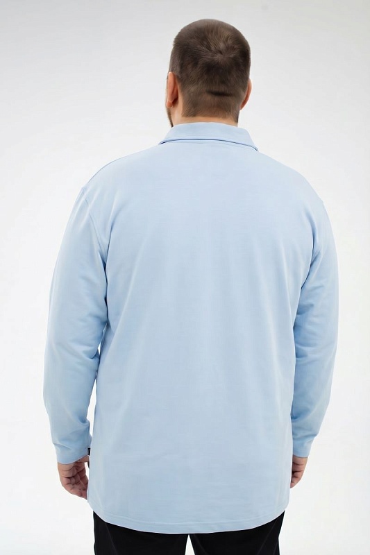 Мужская футболка-поло большого размера, арт 50287/8