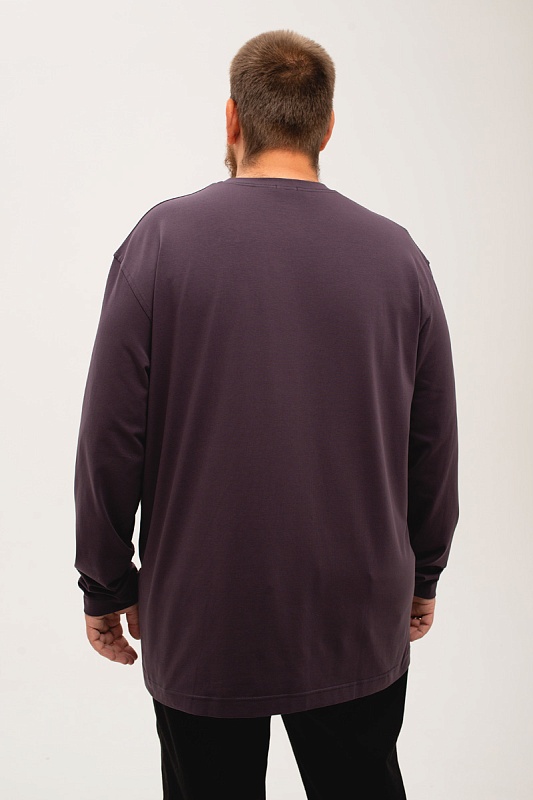 Лонгслив мужской мужская борльшого размера, арт 40140/3/63