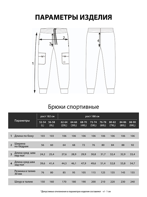 Брюки спортивные