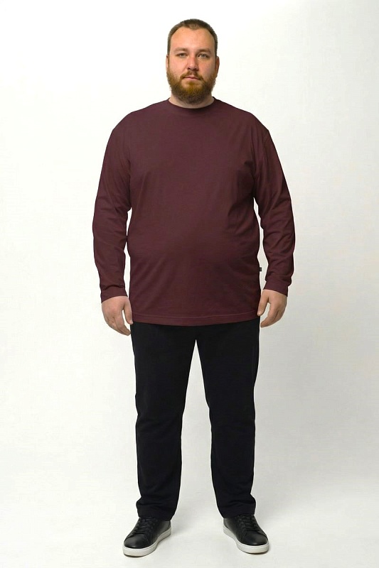 Лонгслив мужской мужская борльшого размера, арт 40140/6