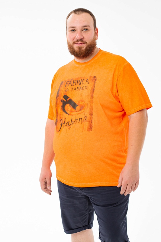 Футболка MAXFORT мужская мужская борльшого размера, арт 39420310