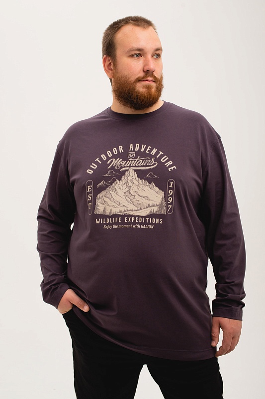 Лонгслив мужской мужская борльшого размера, арт 40140/3/63