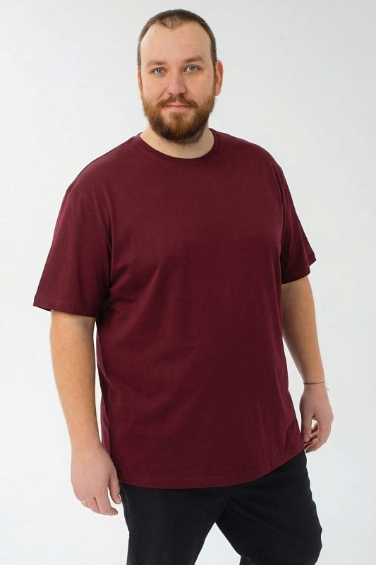 Футболка мужская мужская больших размеров, арт 4080/69 