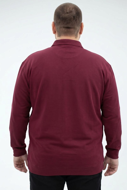 Мужская футболка-поло большого размера, арт 50288/6