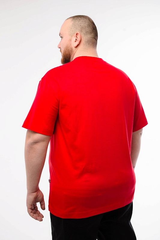 Футболка мужская мужская борльшого размера, арт 4070/15