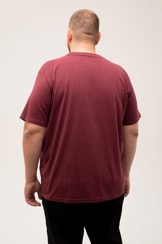 Футболка CasaModa мужская мужская больших размеров, арт 954383900/420 