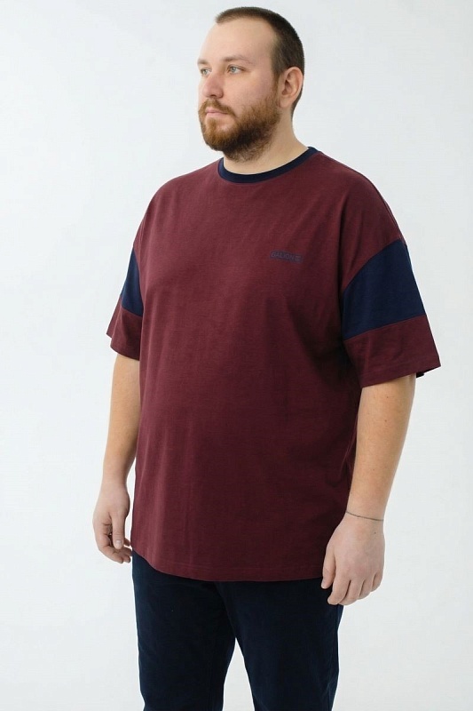 Футболка мужская мужская больших размеров, арт 40431/1 