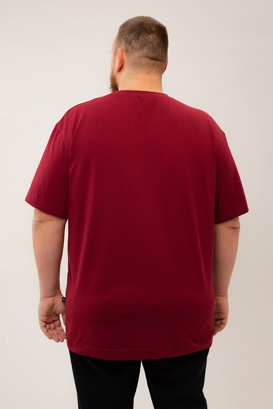 Футболка мужская мужская больших размеров, арт 4080/6 