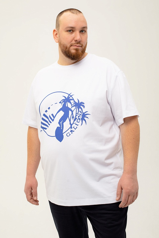 Футболка мужская мужская больших размеров, арт 4080/14/47 