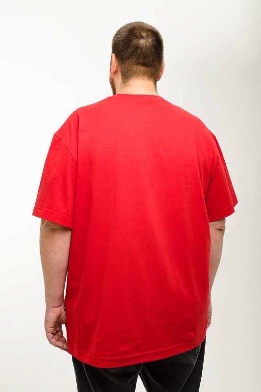 Футболка мужская мужская больших размеров, арт 4080/15/44 