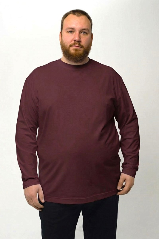 Лонгслив мужской мужская борльшого размера, арт 40140/6