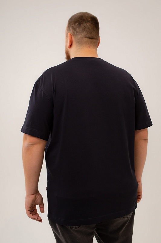 Футболка мужская мужская борльшого размера, арт 4080/4