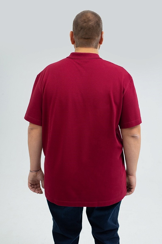 Мужская футболка-поло большого размера, арт 50130/6