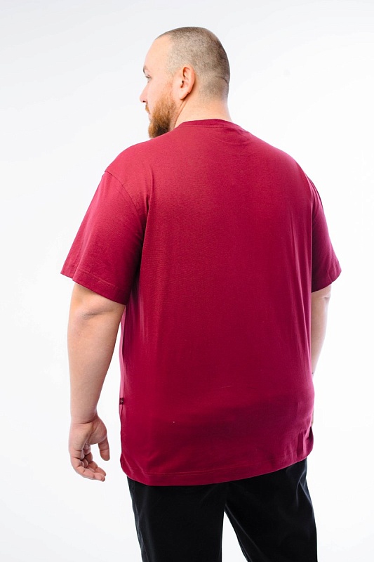 Футболка мужская мужская борльшого размера, арт 4070/6