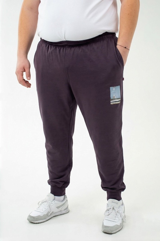 Брюки спортивные