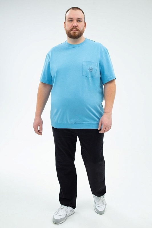 Футболка мужская мужская больших размеров, арт 40360/8 