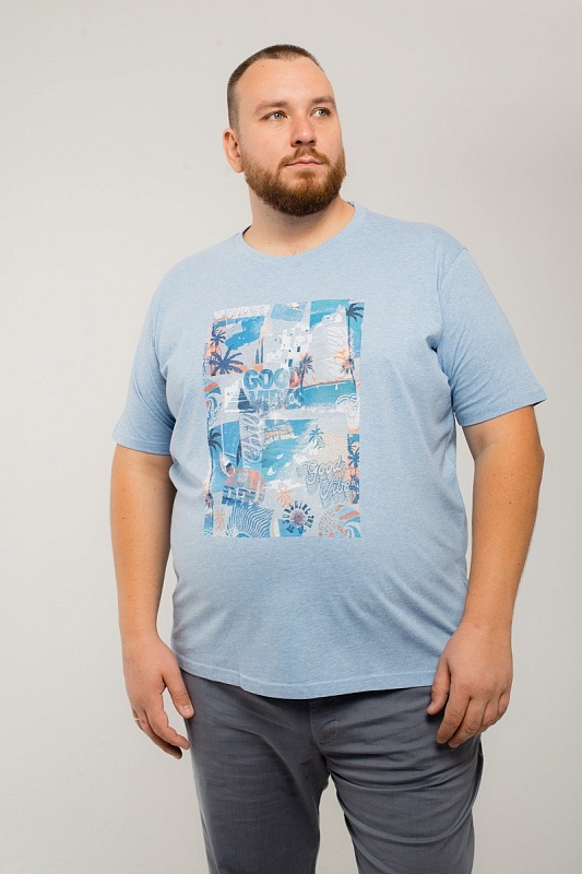  Футболка CasaModa мужская мужская борльшого размера, арт 9441884/122