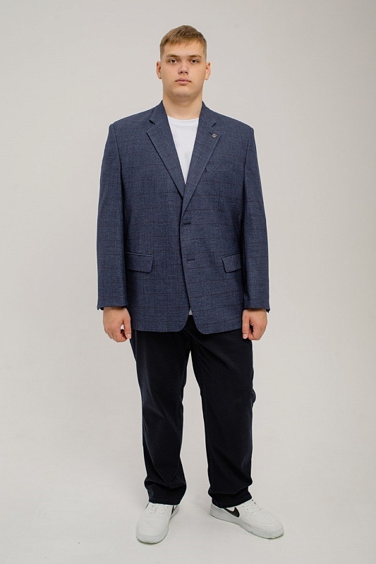 Мужской пиджак большого размера, арт 21131/11