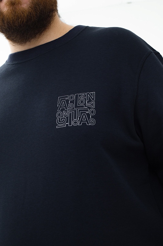 Толстовка мужская