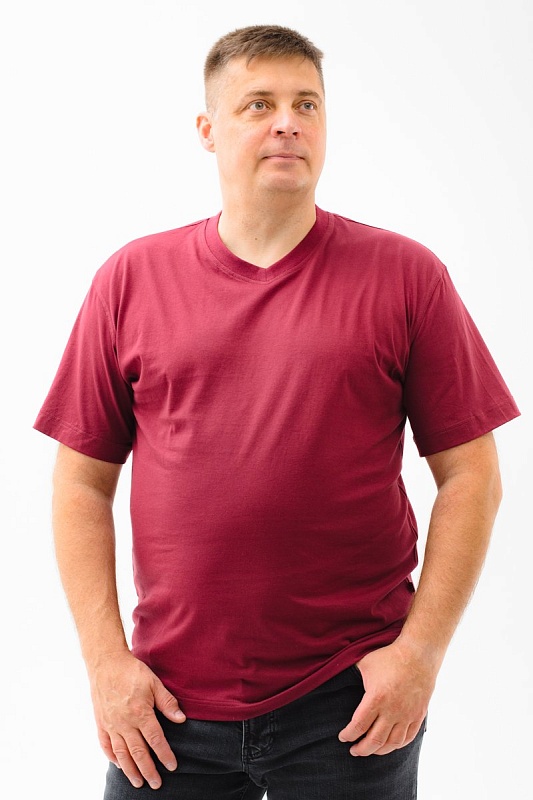 Футболка мужская мужская борльшого размера, арт 4071/6