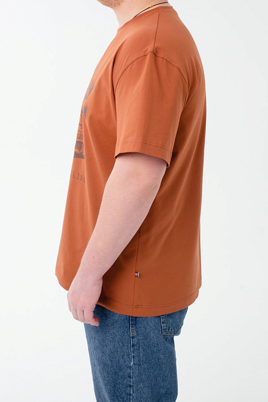 Футболка мужская мужская больших размеров, арт 4080/10/70 