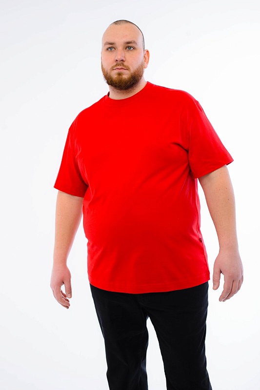 Футболка мужская мужская борльшого размера, арт 4070/15