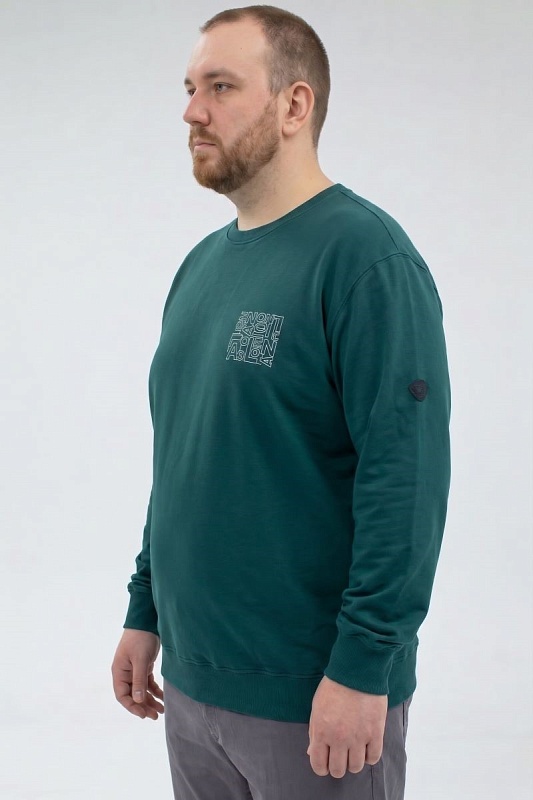 Толстовка мужская