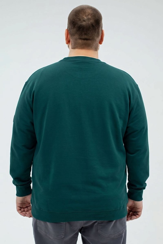 Толстовка мужская